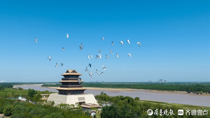 今年天桥区将新增停车位3000个以上，新增绿地20万平方米