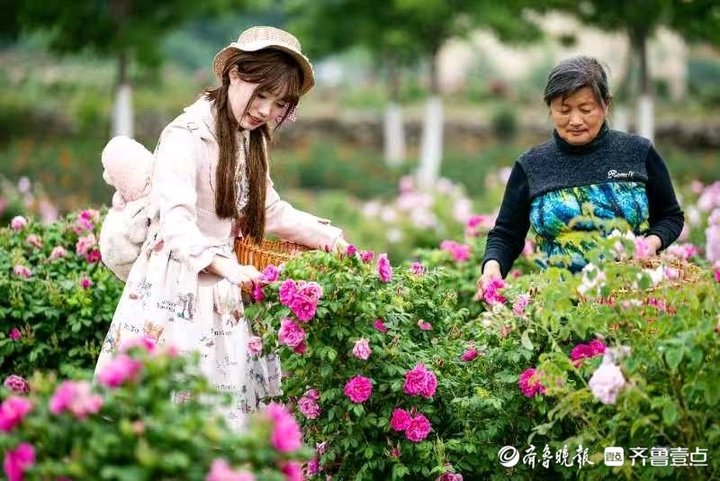 2025年，济南市平阴县将全面创建二级甲等妇幼保健机构