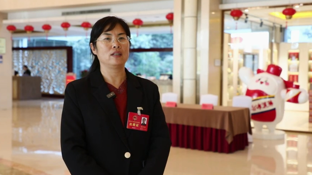 枣庄市人大代表梁冬梅：形成“农文旅商”融合发展的产业网格