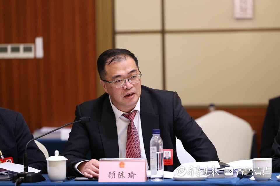 烟台市人大代表顾陈瑜：制定三年行动方案，确保低空经济有序发展