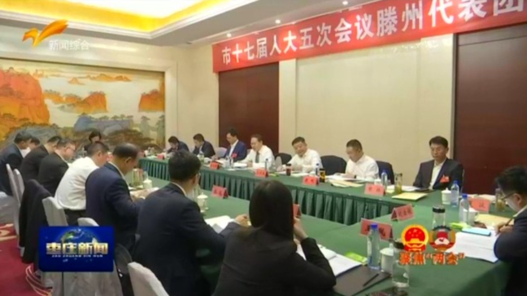 共筑法治新篇，枣庄市人大代表分组审议“两院”工作报告