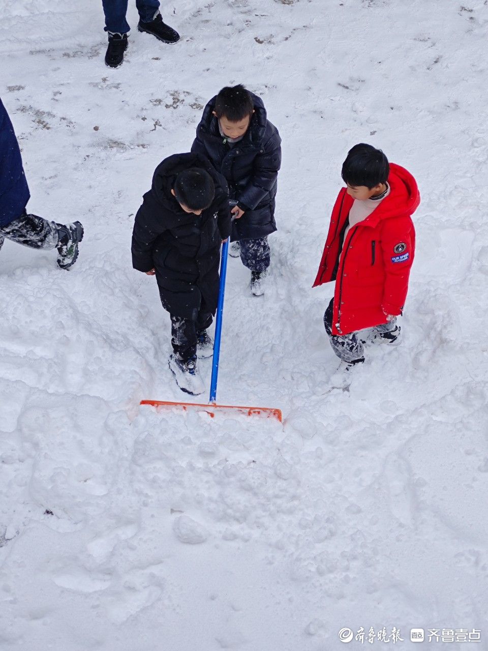 图集 | “雪窝”再上线，烟台迎入冬以来最强降雪