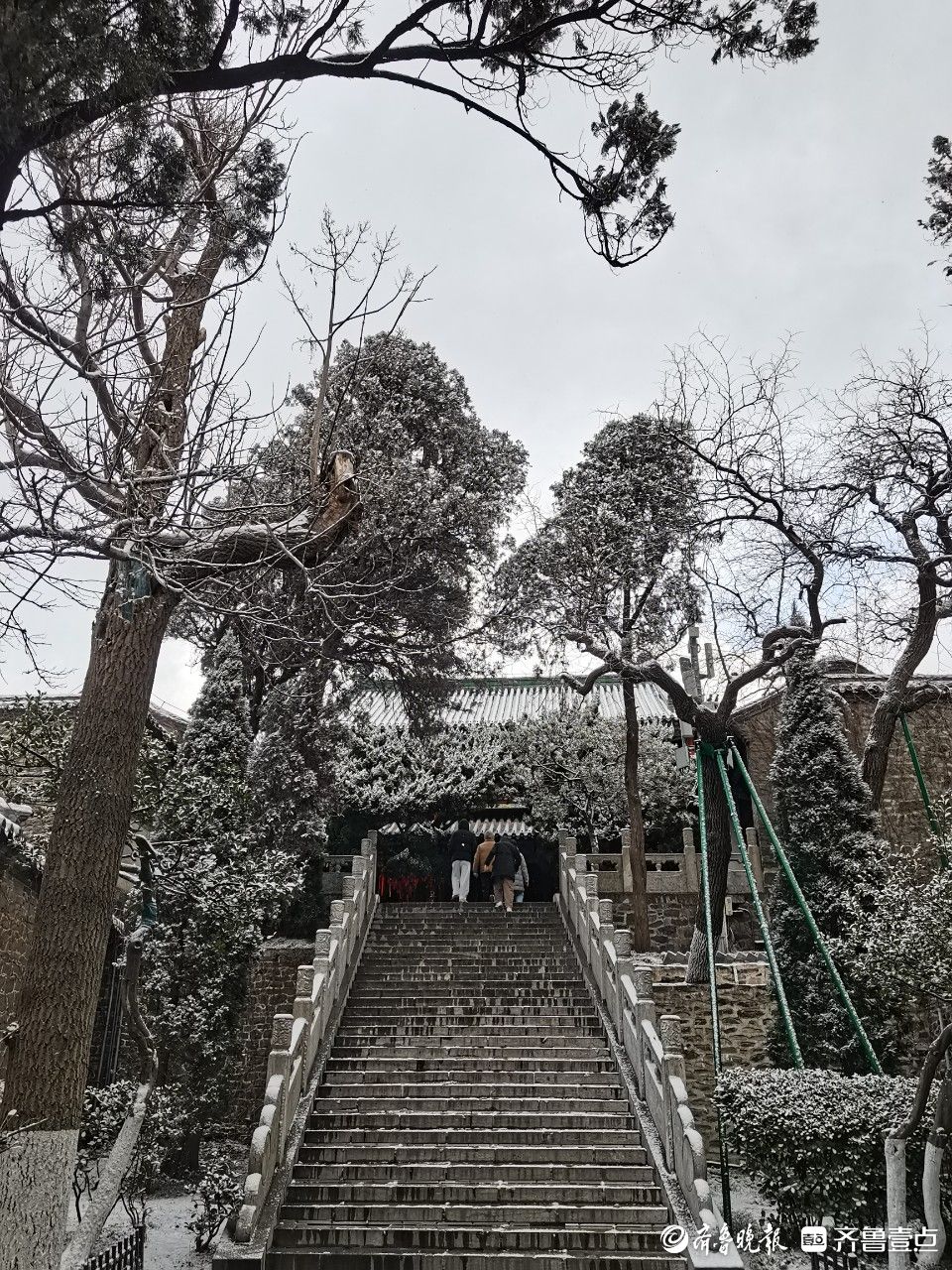 图集|雪落成诗！雪后蓬莱阁美如画