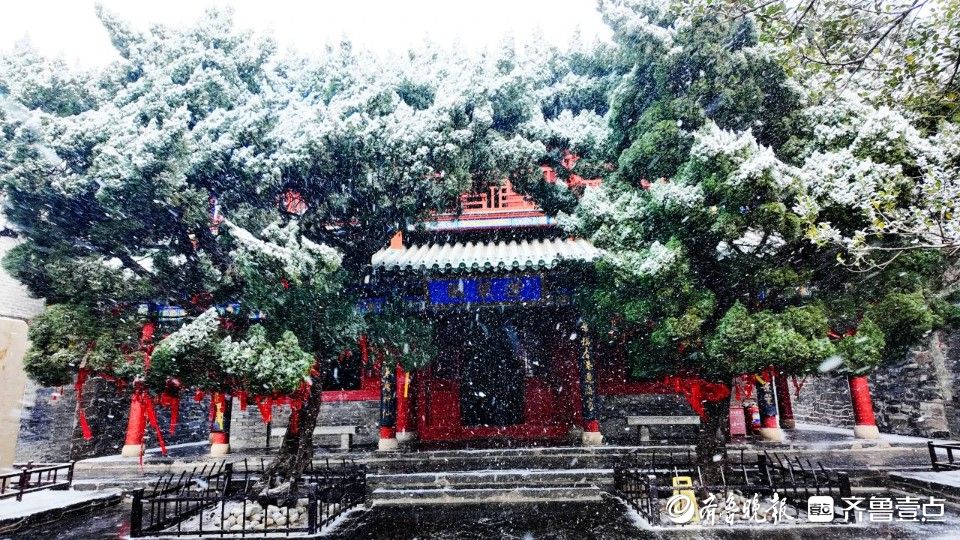 图集|雪落成诗！雪后蓬莱阁美如画