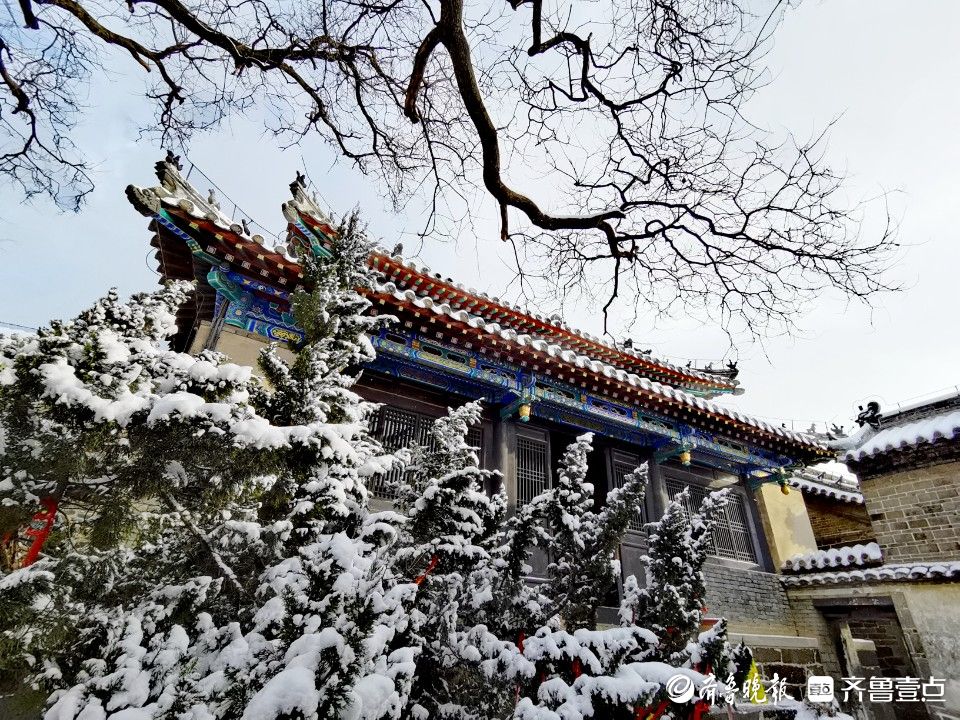 图集|雪落成诗！雪后蓬莱阁美如画