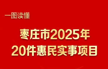 一图读懂 | 枣庄市2025年20件惠民实事项目