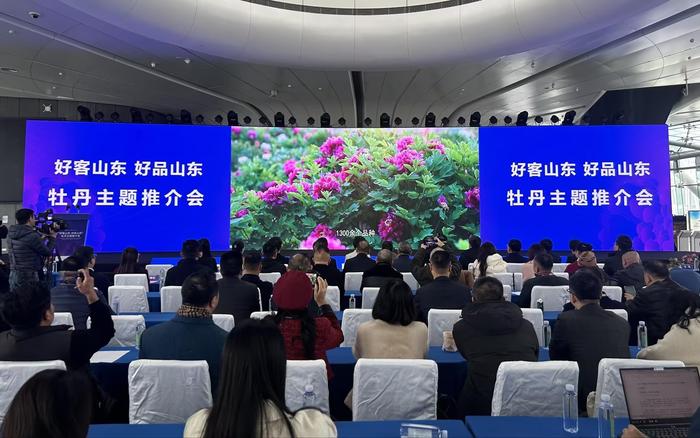 齐鲁·菏评｜绽放《国色芳华》，背后是菏泽牡丹的无限荣光