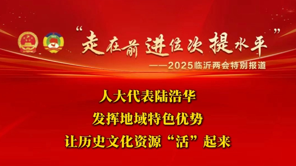 两会声音｜临沂市人大代表陆浩华：让历史文化资源“活”起来
