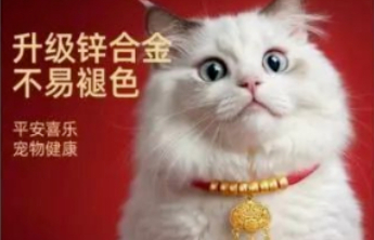 “富贵”宠物圈火了！长命锁、平安扣，“毛孩子”过年要穿金戴银
