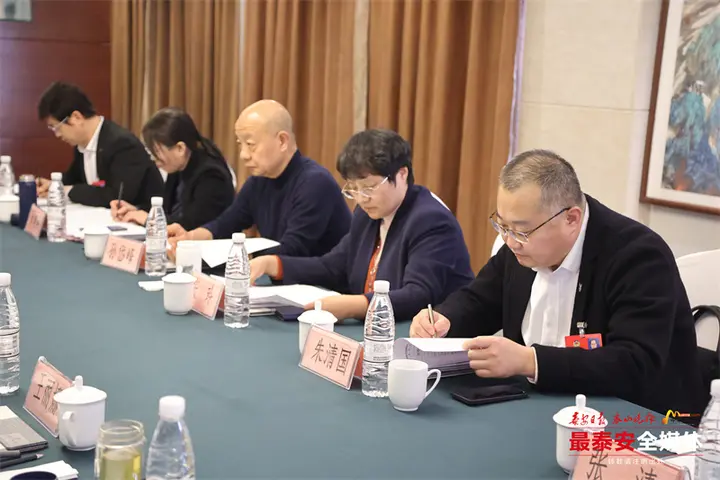 同心协力聚众智 奋发进取谋发展 市政协委员分组审议常委会工作报告和提案工作情况的报告