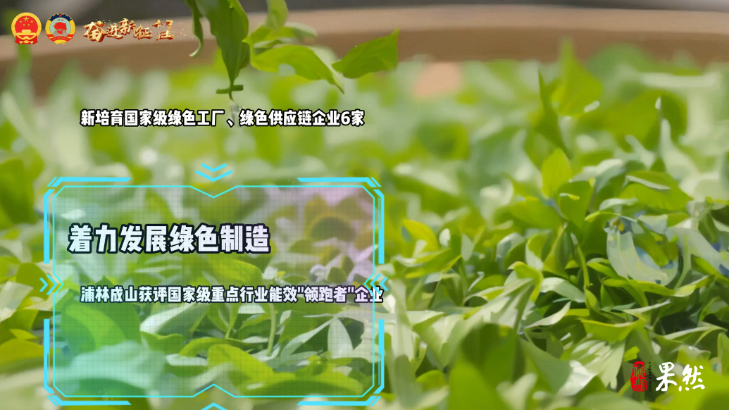 AI看威海|优结构、促转型，绿色低碳高质量发展迈出坚实步伐