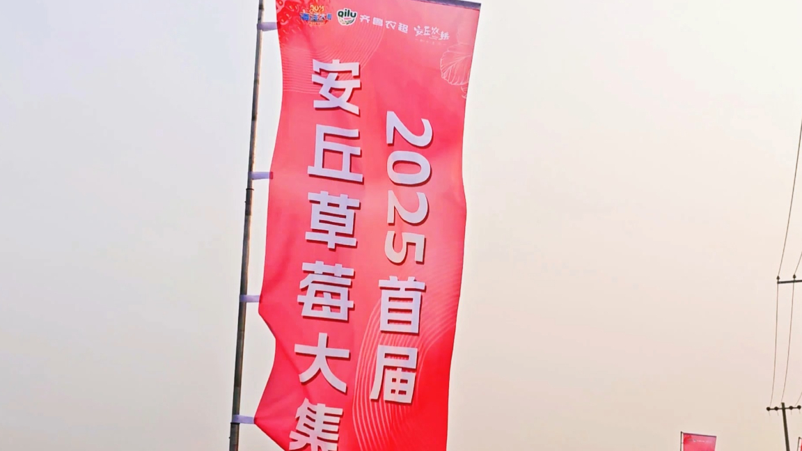 共同见证安丘“莓”好品质！“齐鲁农超”县域行安丘站暨2025首届安丘草莓大集即将启幕