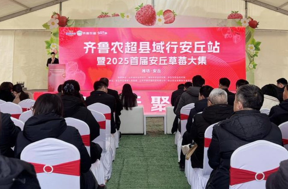 莓好安丘，聚力共荣！“齐鲁农超”县域行安丘站暨2025首届安丘草莓大集今日盛启