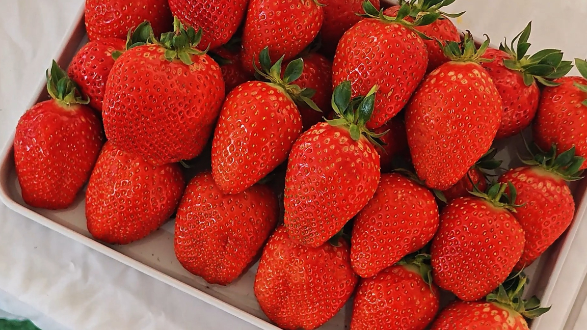 甜甜甜！数十品种草莓亮相“齐鲁农超”县域行安丘站暨2025首届安丘草莓大集活动