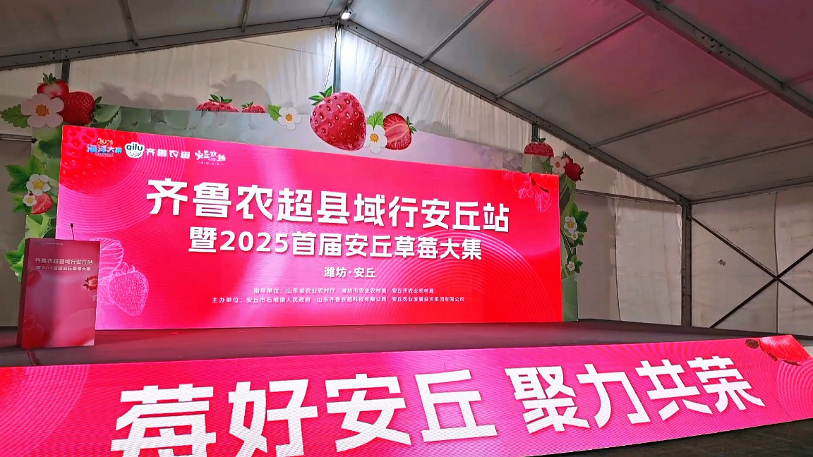 莓好安丘，聚力共荣！“齐鲁农超”县域行安丘站暨2025首届安丘草莓大集成功举办