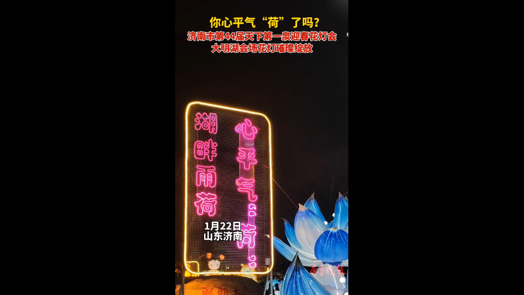果然视频|你心平气“荷”了吗？济南大明湖畔花灯璀璨绽放