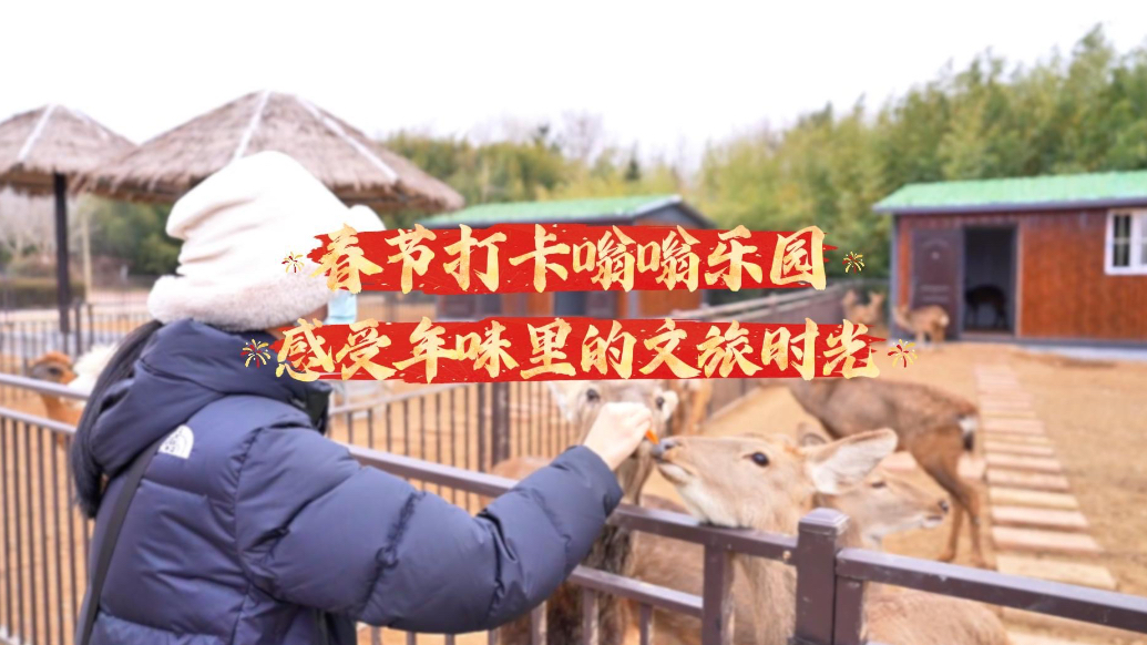 果然视频｜春节打卡日照嗡嗡乐园，感受年味里的文旅时光