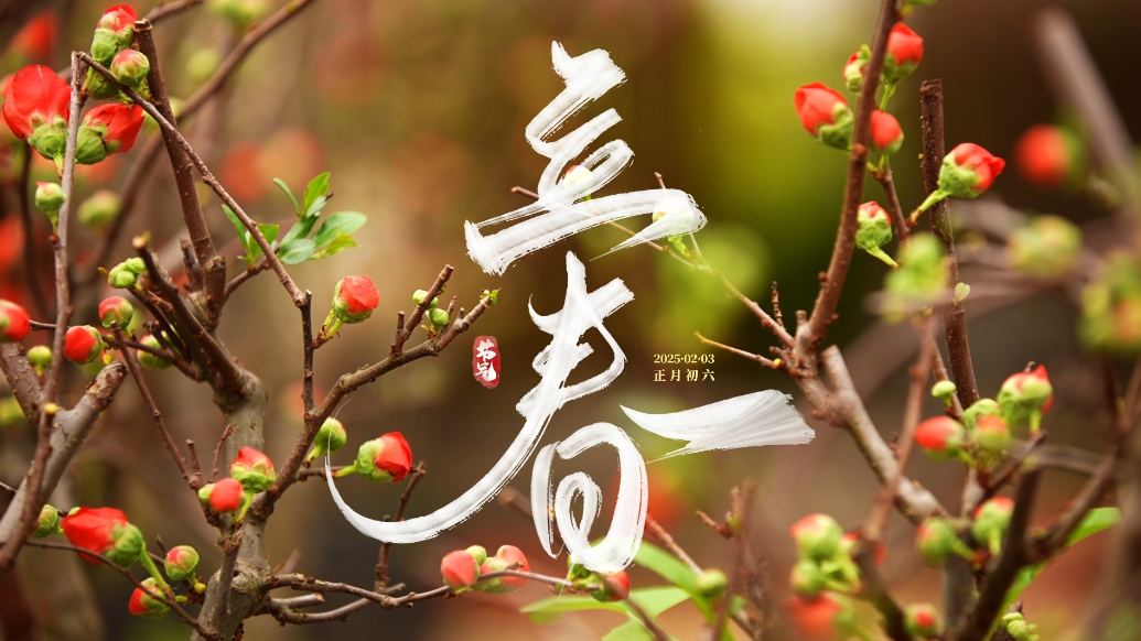 果然视频|时令·立春