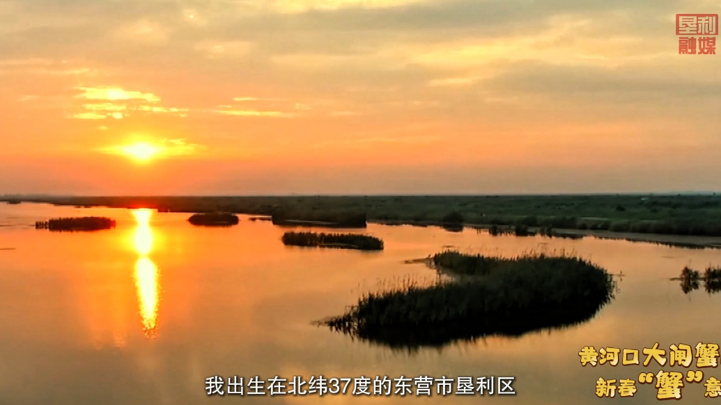 黄河口大闸蟹的新春“蟹”意！