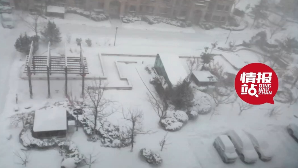 天气情报站|雪飘如絮！威海迎来新一轮降雪，窗外已是白茫茫一片