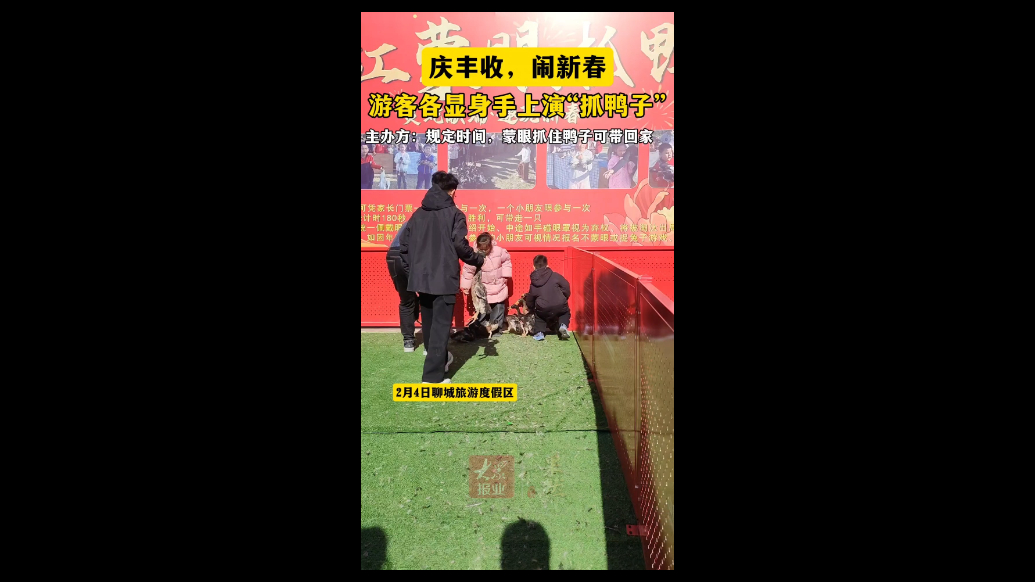 庆丰收，闹新春，聊城游客各显身手上演“抓鸭子”