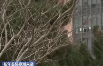 9级风到底有多大，遭遇“极端性”大风要注意什么？