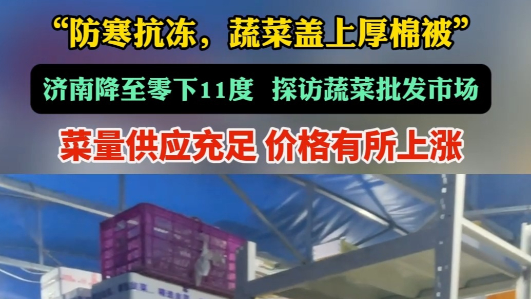 果然视频|极寒天探访蔬菜批发市场：菜量供应充足，价格微涨