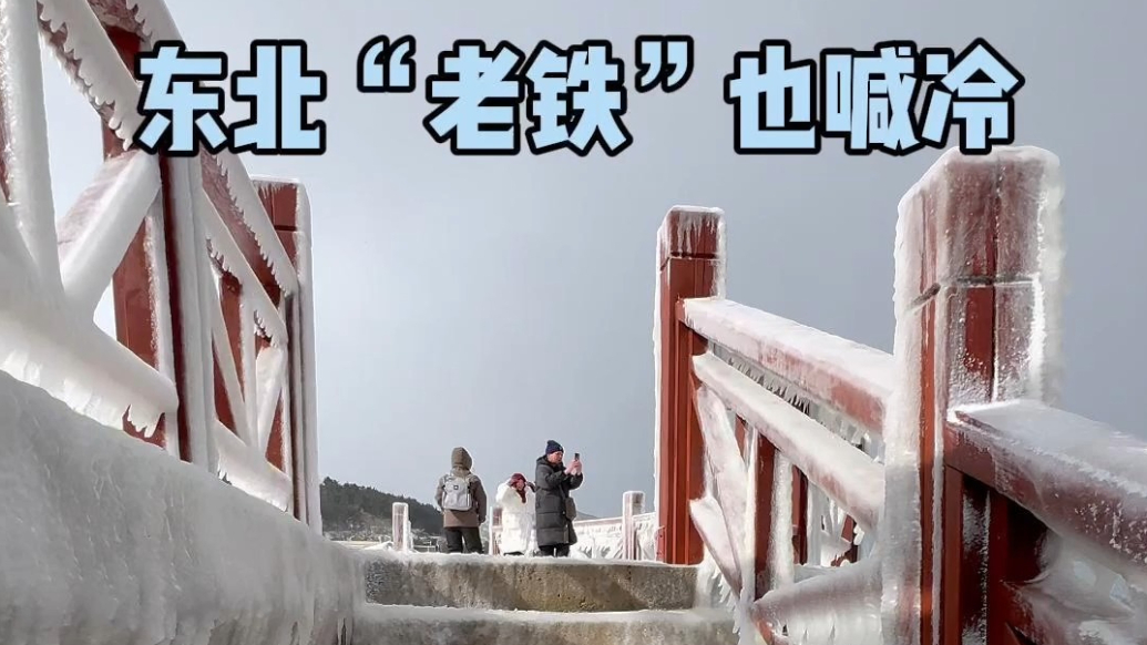 果然视频｜北极圈“威海分圈”上线，东北“老铁”也喊冷