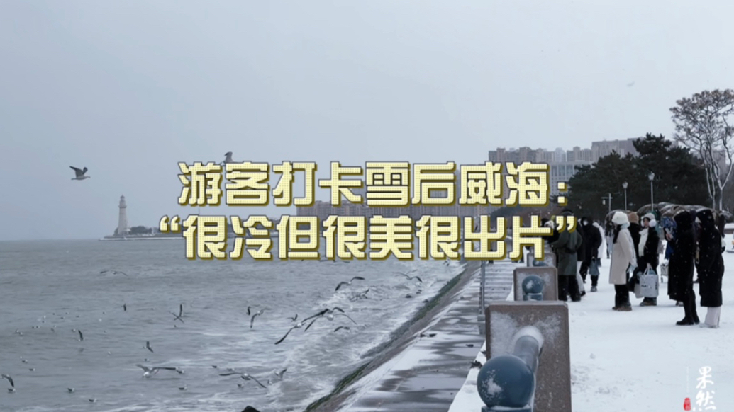 果然视频｜游客打卡雪后威海：“很冷但很美很出片”