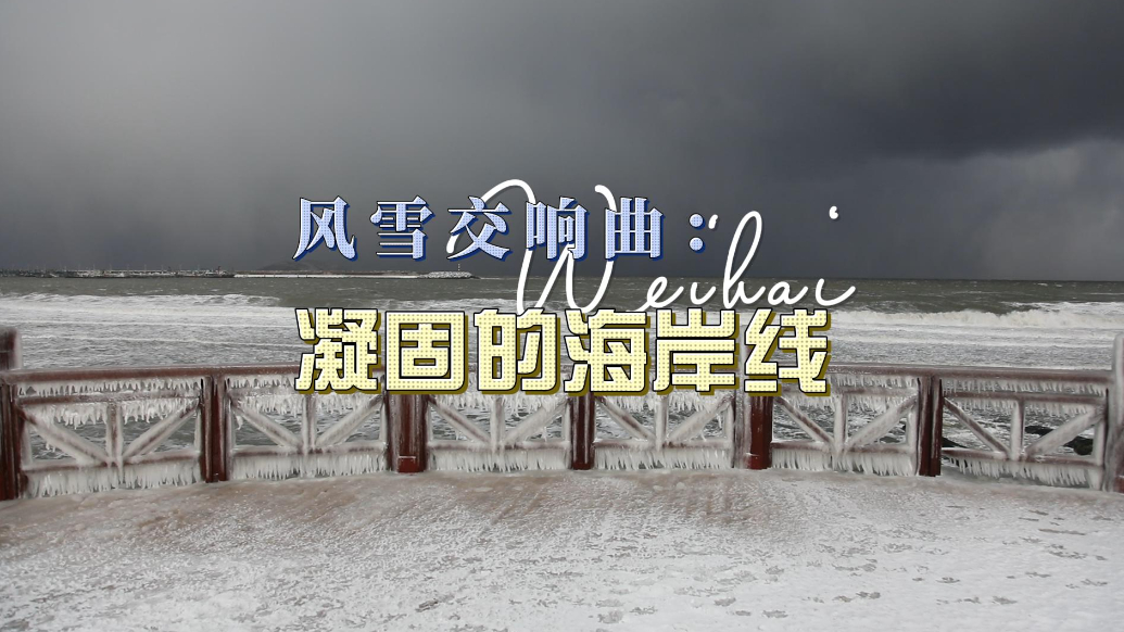 果然视频丨威海再迎强风大雪，海岸线凝固犹如“冰河世纪”