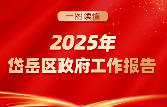 一图读懂 | 2025年泰安市岱岳区政府工作报告