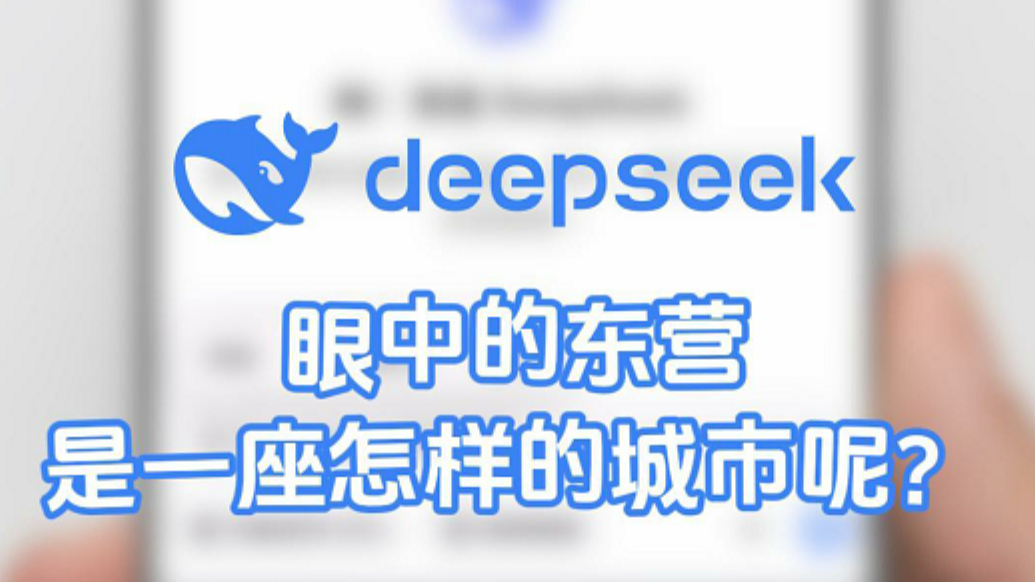 Deepseek眼中的东营是一座怎样的城市呢？
