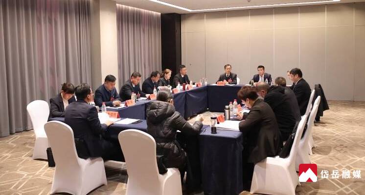 徐永涛参加区十八届人大四次会议道朗镇代表团讨论审议