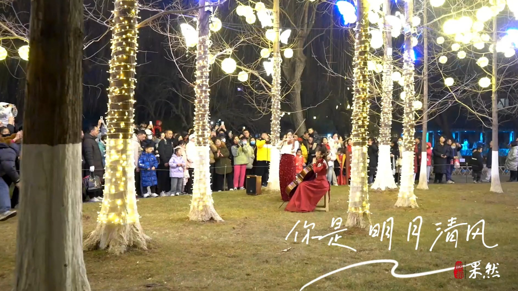 果然视频|元宵佳节赏花灯，济南五龙潭申请出战
