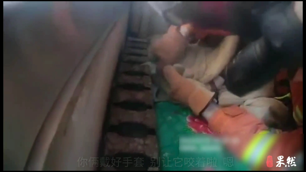 果然视频|小猫尾巴卡进暖气片缝隙中，消防员到场三分钟化解
