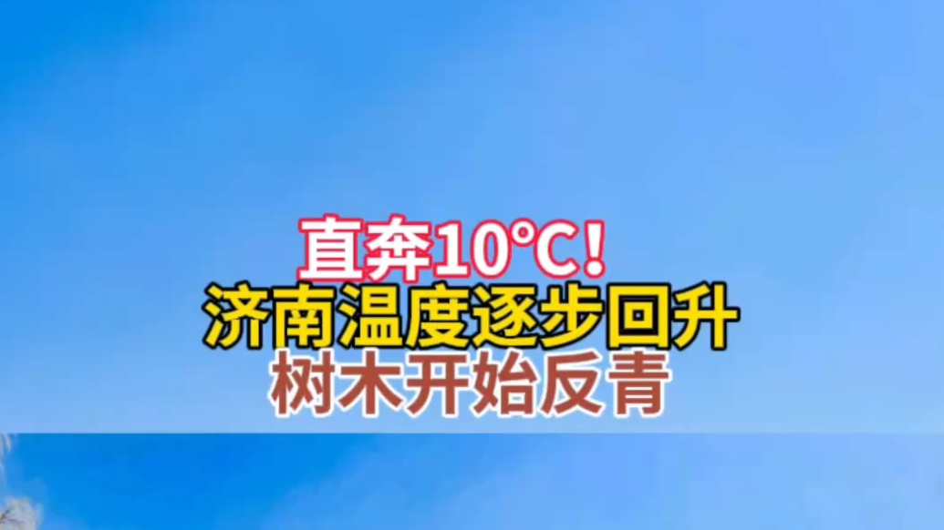天气情报站|气温直奔10℃！济南气温逐步回升，树木开始反青