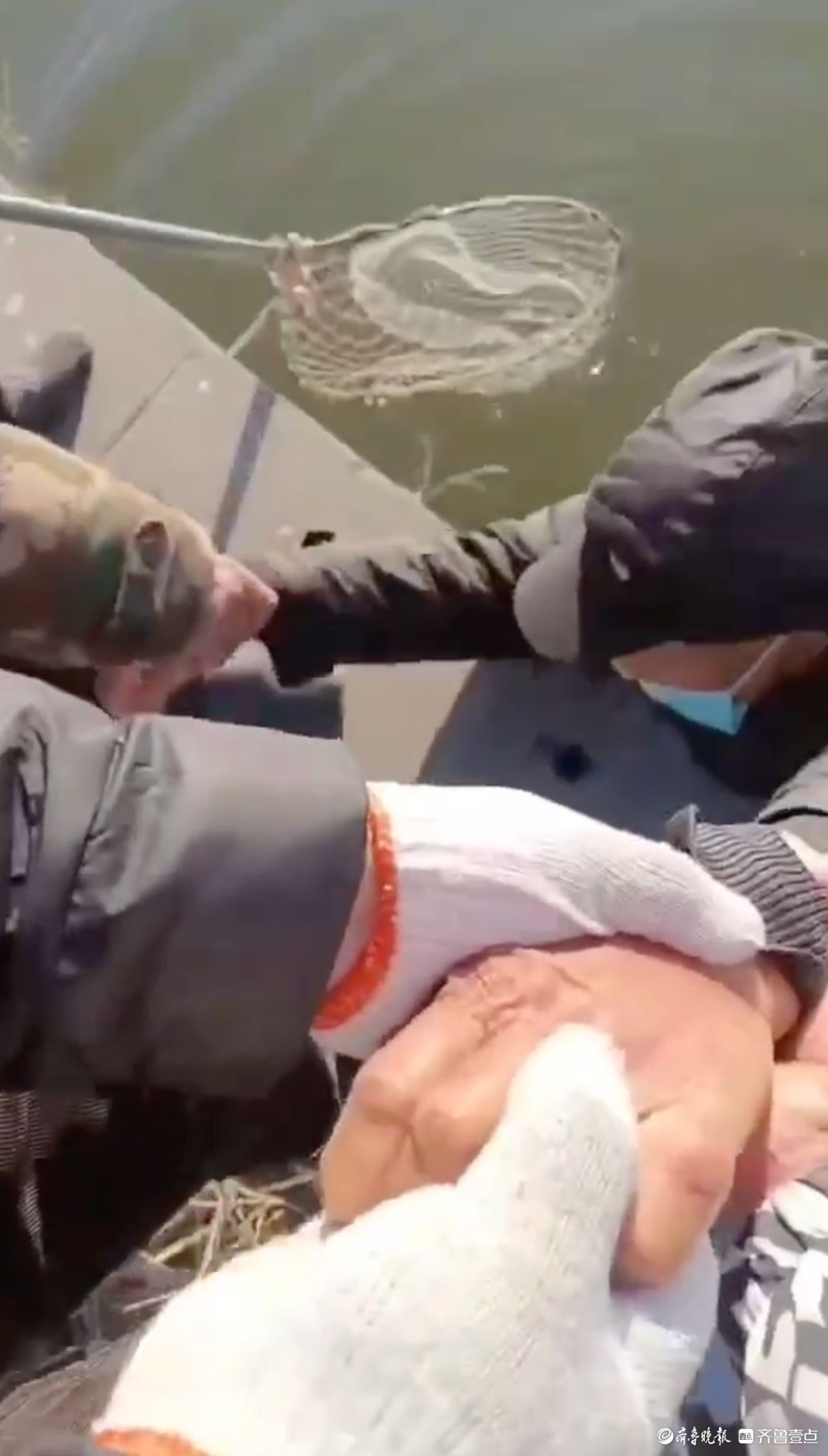 凡人歌丨七旬老人意外落水，高唐南湖巡查员60米冲刺合力救援