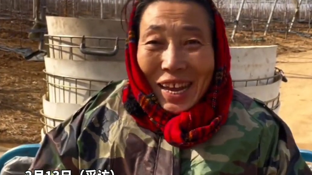 果然视频|57岁霞姐用英语推销苹果走红，曾自考英语本科