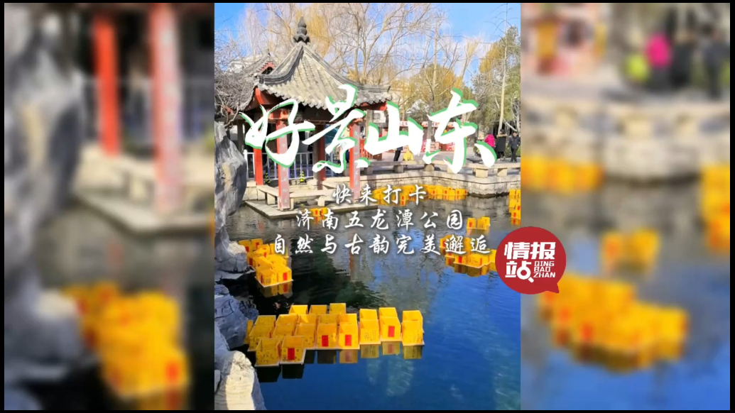 果然视频·好景山东|五龙潭公园自然与古韵完美邂逅，快来打卡吧