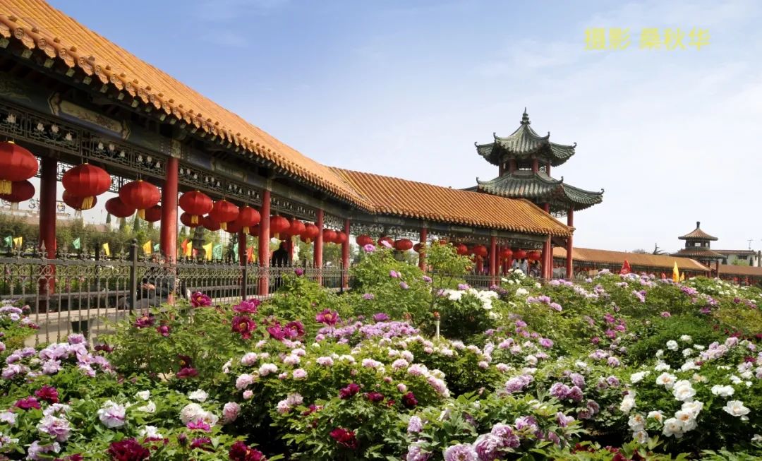 招商公告｜2025年第34届牡丹文化旅游节曹州百花园对外公开招商