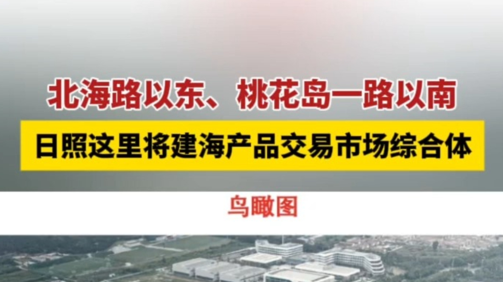 果然视频丨日照这里将建海产品交易市场综合体！