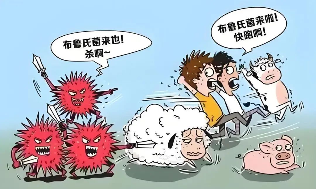  山东健康科普专栏|“布病”也有春天,预防感染切莫大意!