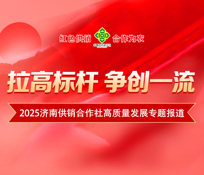 2025年济南市供销合作社以“项目提升年”为牵引，深入推进供销合作社高质量发展三年行动，拉高标杆、争创一流，不断深化改革，提升能力、优化服务、培育优势，在助力乡村全面振兴、加快建设“强新优富美高”新时代社会主义现代化强省会中展现新担当、作出新贡献。