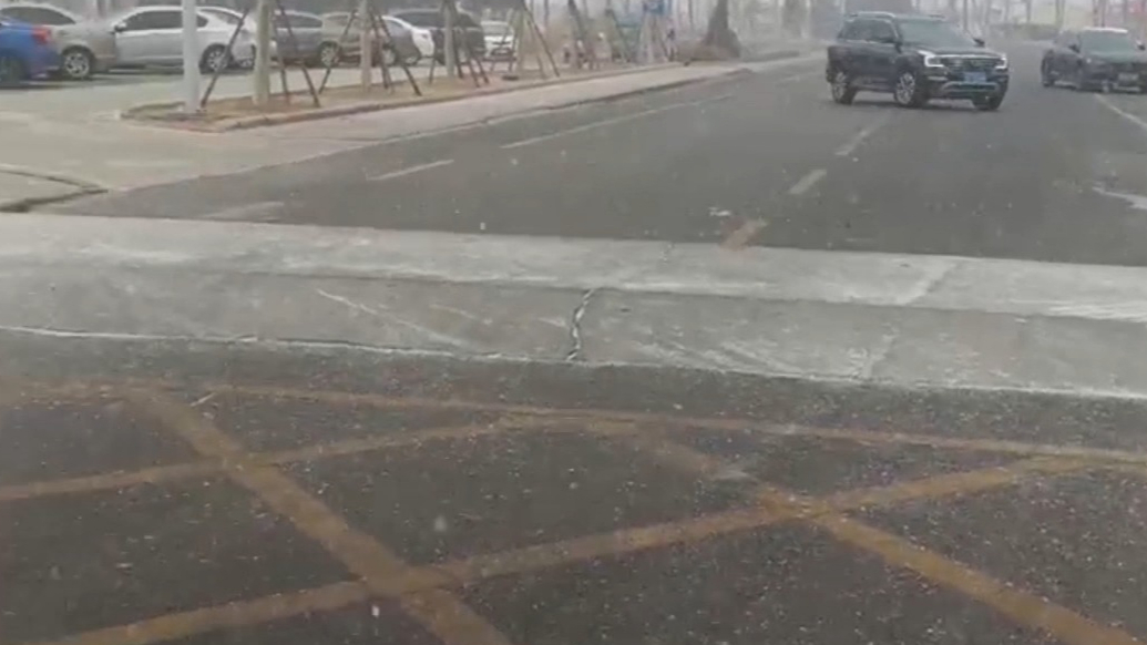 天气情报站|下雪啦！周末东营一场春雪降至，雪花飞舞纷纷扬扬