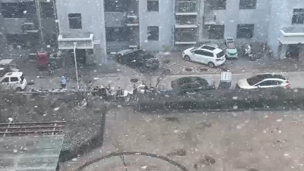 天气情报站|纷纷扬扬！潍坊一场春雪飘落，白色雪花漫天飞舞