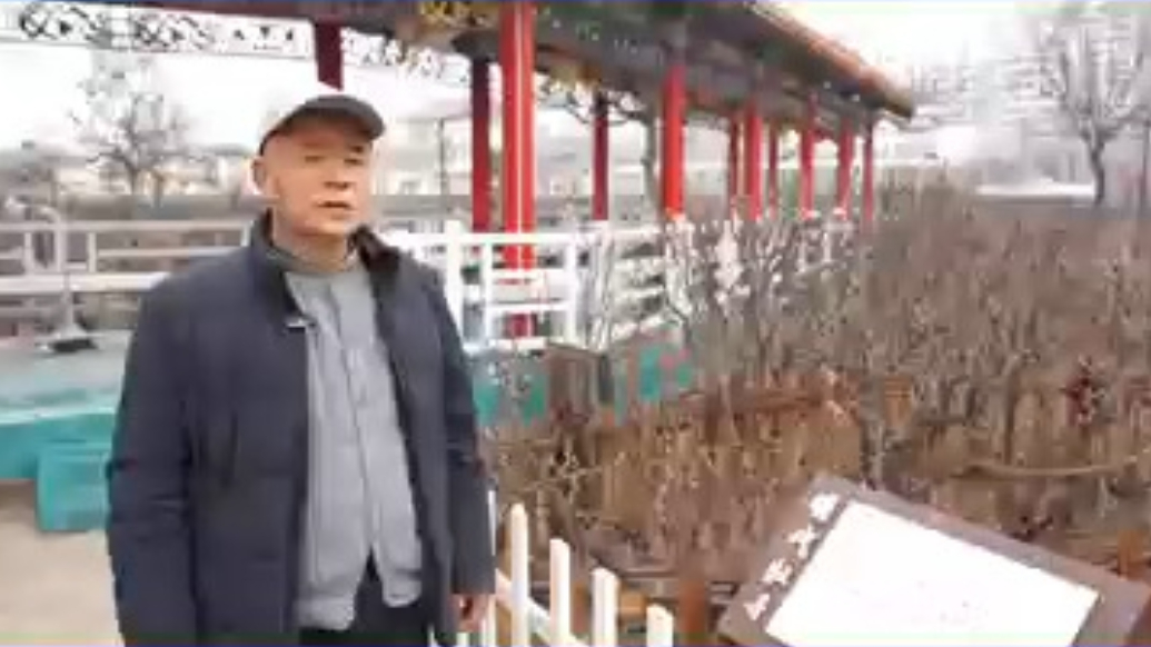 百年牡丹“传宗接代” ，曹州百花园续写物种传奇