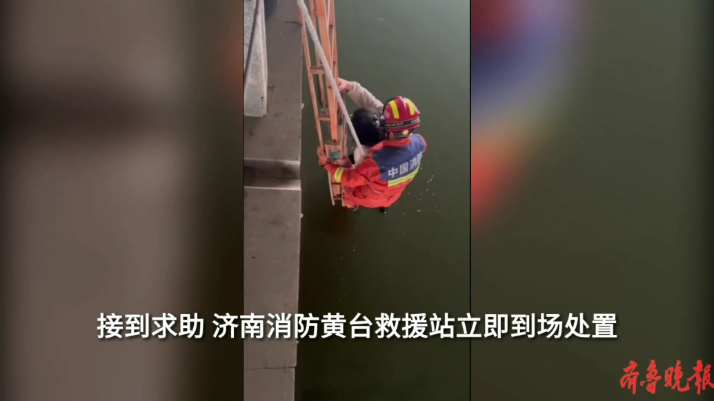 果然视频|女子不慎落水被困小清河，消防员迅速搭梯营救