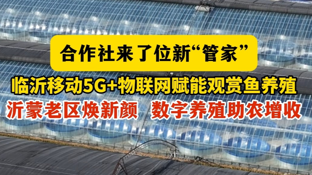 果然视频丨临沂移动5G+物联网赋能观赏鱼养殖