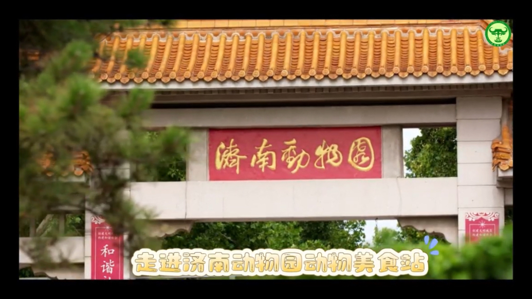 果然视频 | 动物视界（363）走进济南动物园动物美食站