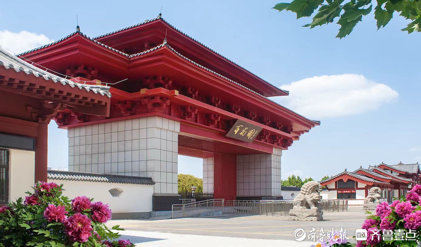 2025牡丹节会招商｜曹州百花园邀您共享流量红利